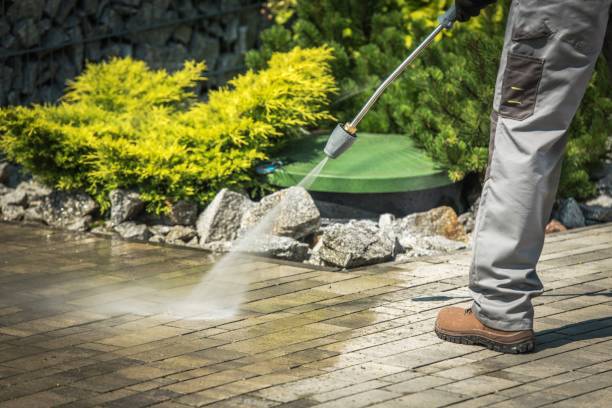 Best Fence Cleaning and Maintenance in Covington, OH